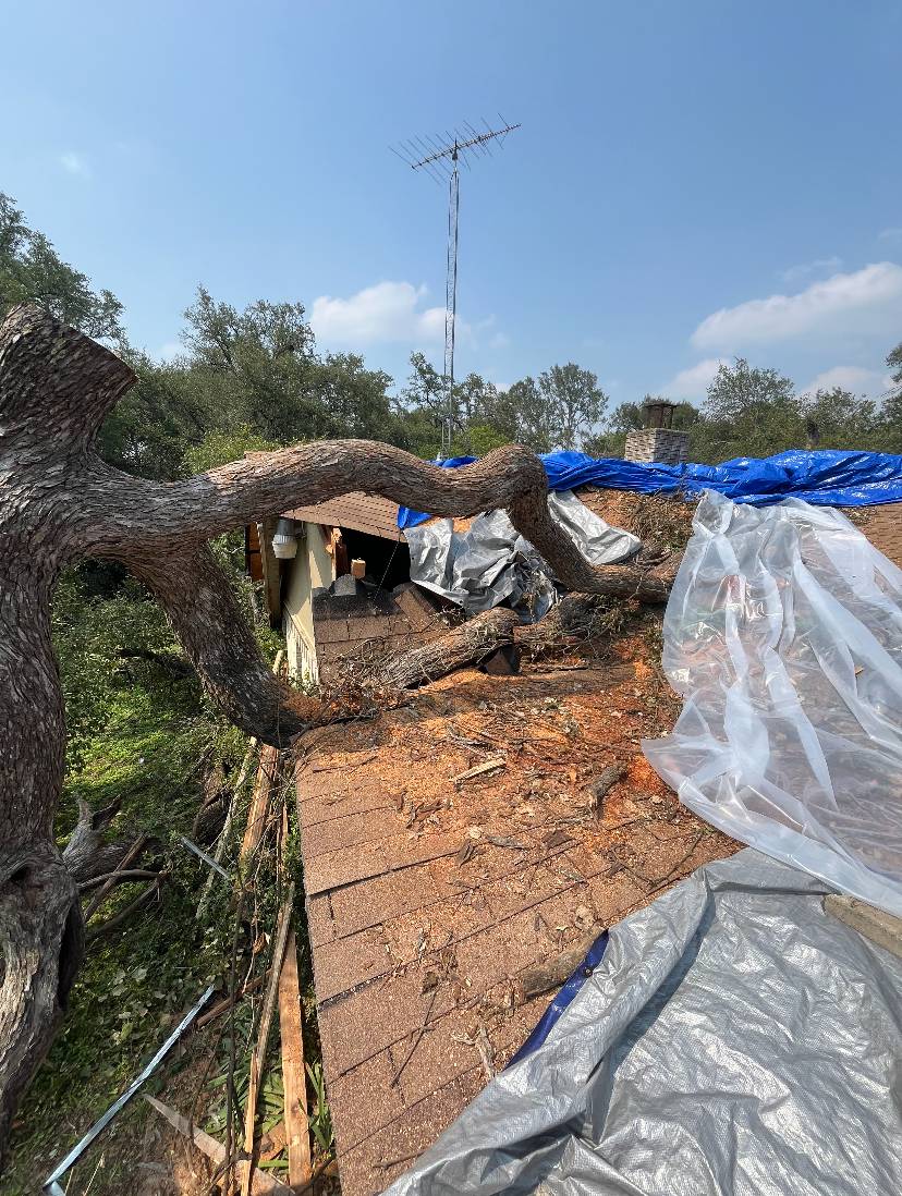 Tree Removal After Tornado service