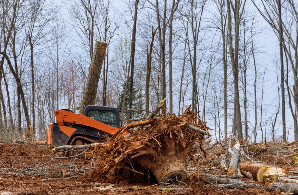 Land Clearing service